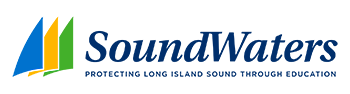Soundwaters Logo